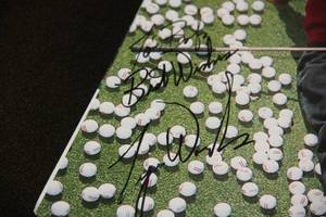 Tiger Woods Magazine Page Auto