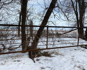 lot 4 image: 24 Free Standing Fence Panel 2-38