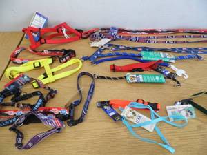 Lot of Dog Leashes - Collars