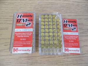 17 Shell Ammunition