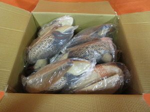 lot 44 image: Box of (12) (New) Duck Decoys