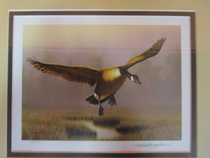lot 62 image: Richard Clifton 2016 $5 Gold Stamp Ducks Unlimited Signed & Numbered Framed Print #573000 18x19