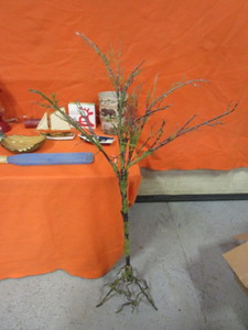 lot 90 image: Outdoors Themed Decor