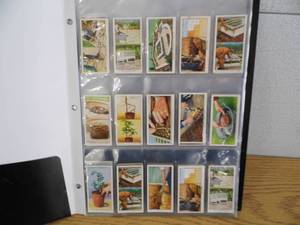 101 Cigarette Cards
