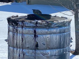 lot 65 image: Insulated Asphalt Binder Tank