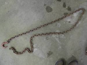 10 chain with 1 hook...