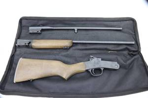 lot 14 image: Rossi .41022LR Matched Pair Two-Barrel Combo