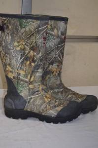 Sportsman 236 Boot and Shoe