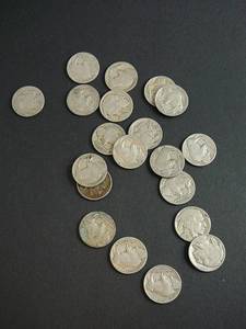 lot 108 image: 20 Buffalo Nickles