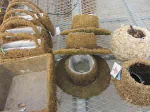 Moss Covered Planters