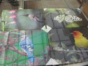 Canvas Art