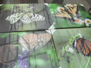 Canvas Art