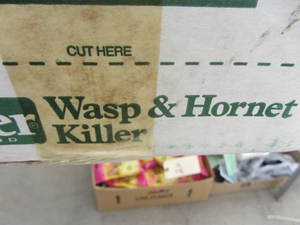 Wasp & Hornet Killer