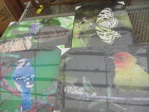 Canvas Art
