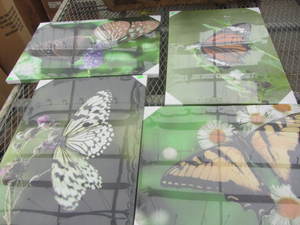 Canvas Art