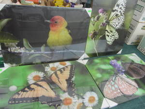 Canvas Art