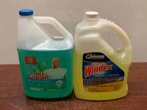 lot 64 image: Mr. Clean and Windex
