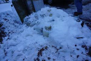 lot 51 image: Large Lot of Propane Cylinders