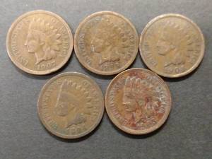 (5) Indian Head Cents...