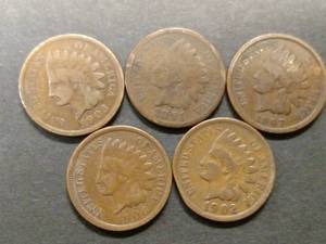(5) Indian Head Cents...