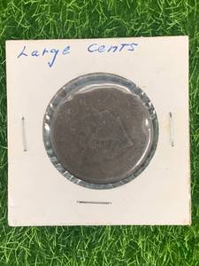 US Large Cent Coin