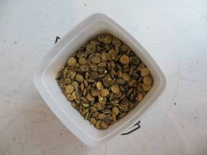 Tub of Brass (Military) Buttons