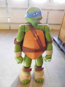 Teenage Mutant Ninja Turtle
