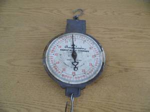 Vintage American Famly Scale