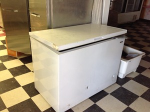 lot 11 image: Freezer