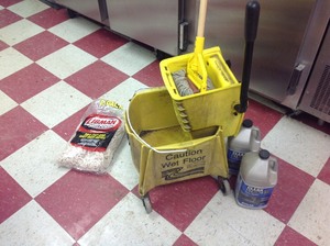 lot 102 image: Mop Bucket & Supplies