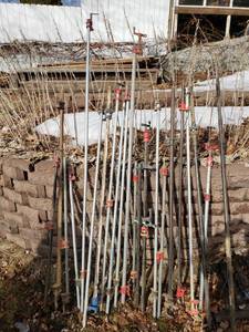 lot 31 image: Large Lot of Pipe Clamps  Tall & Short