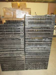 lot 8 image: 16 Pc. Plastic Crates (Dim 13...