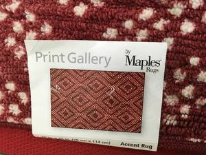 lot 221 image: Print Gallery Accent Rug 30 in. x 45 in., Retail $12.99