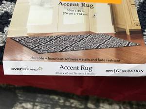 lot 230 image: New Generation Accent Rug 30 in. x 45 in., Retail $14.99