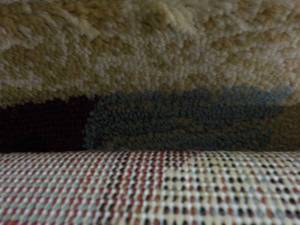 7 ft 10  x 9 ft 10 Area Rug...