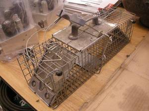 lot 116 image: Havahart Live Trap