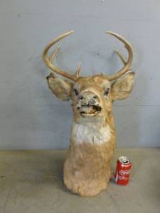lot 116 image: Deer Mount