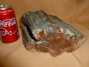 lot 143 image: Petrified Wood