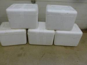 lot 200 image: Styrofoam Coolers