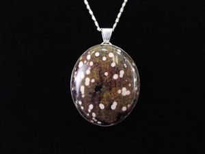 lot 13 image: .925 Sterling Silver Spotted Brown Agate Pendant Necklace