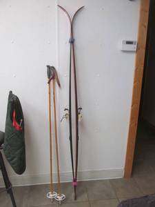 lot 49 image: skis