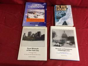 lot 172 image: Misc Blizzard Books