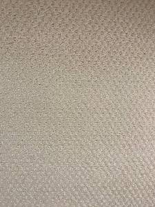 870 SQ FT Mohawk High End Nylon Visionary Cove Cut Loop Carpet