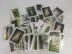 lot 9 image: Misc Items