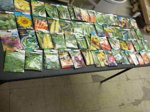 lot 262 image: 64 pkgs of Burpee Garden Seeds dat...