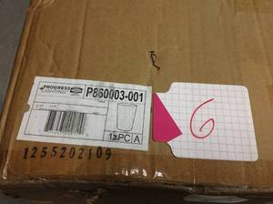 Progress Lighting Debut Collection Accessory Shadein good condition