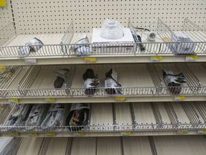 lot 25 image: electric supplies