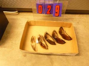 Flat of sunglasses. As shown.