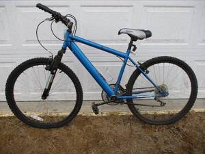 lot 6 image: Roadmaster Bike