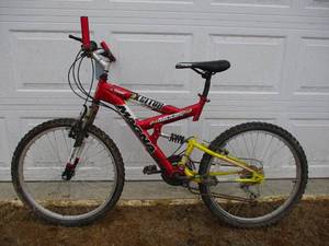 lot 10 image: Magna Bike